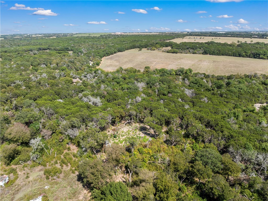 TBD Whitney Lane, Waco, Texas image 3