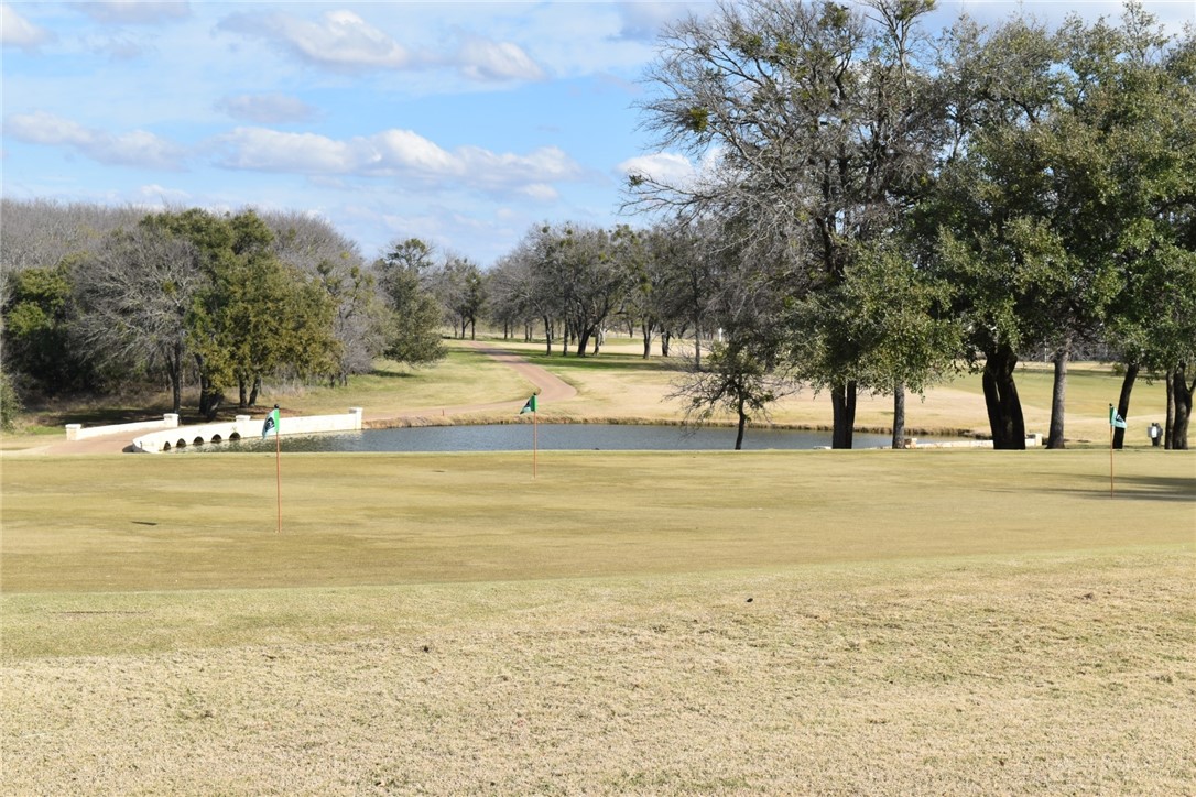 1289 Oak Grove Court, Whitney, Texas image 19