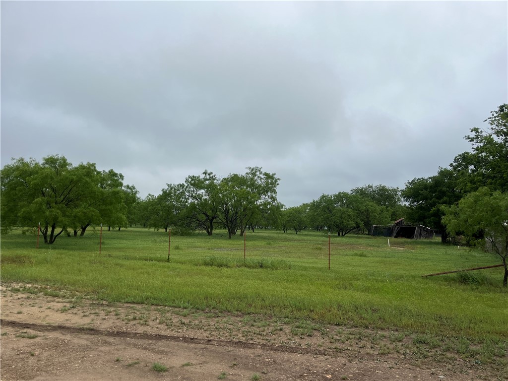 8810 W Schlee Street, Priddy, Texas image 6