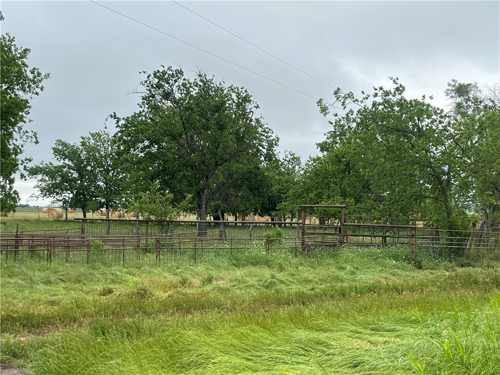 8810 W Schlee Street, Priddy, Texas image 3