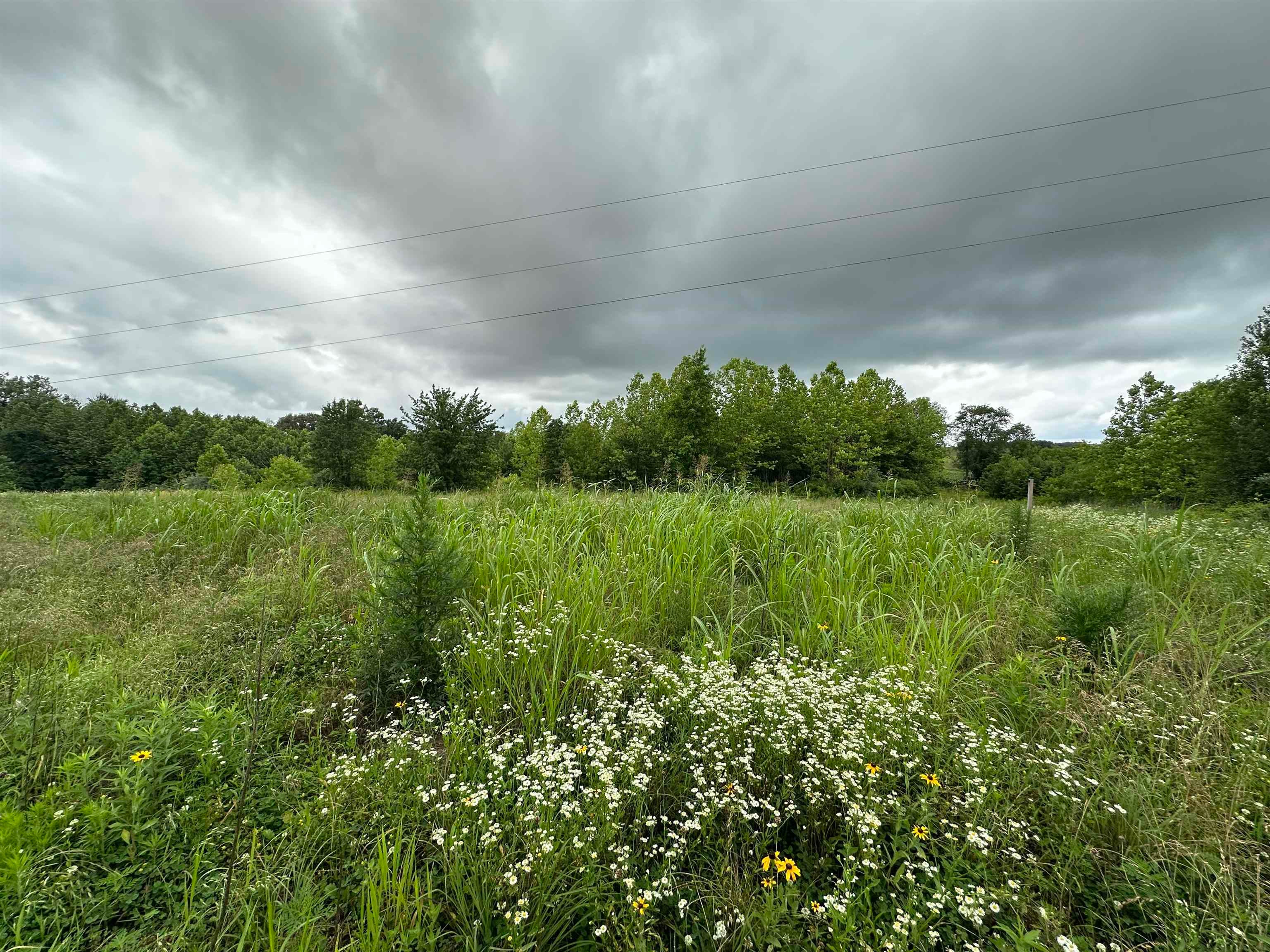 14766 Griffin Graves Creek Rd