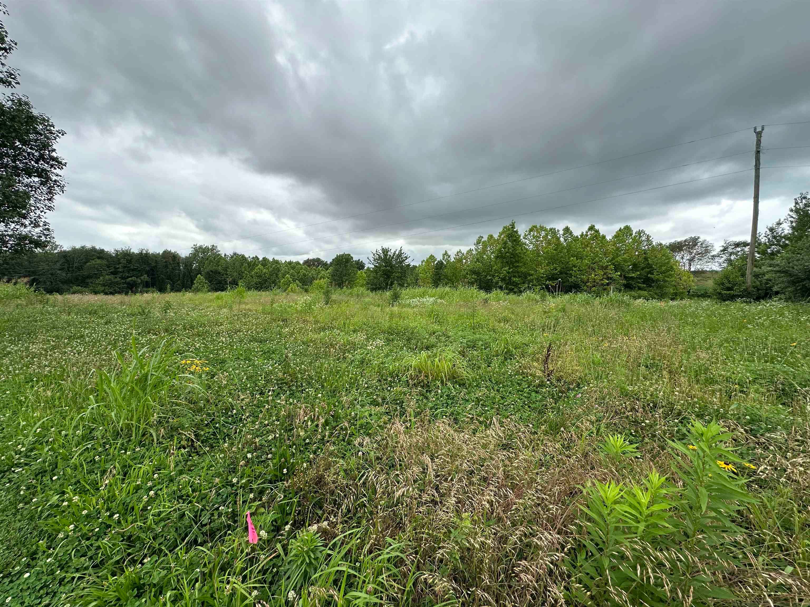 14766 Griffin Graves Creek Rd