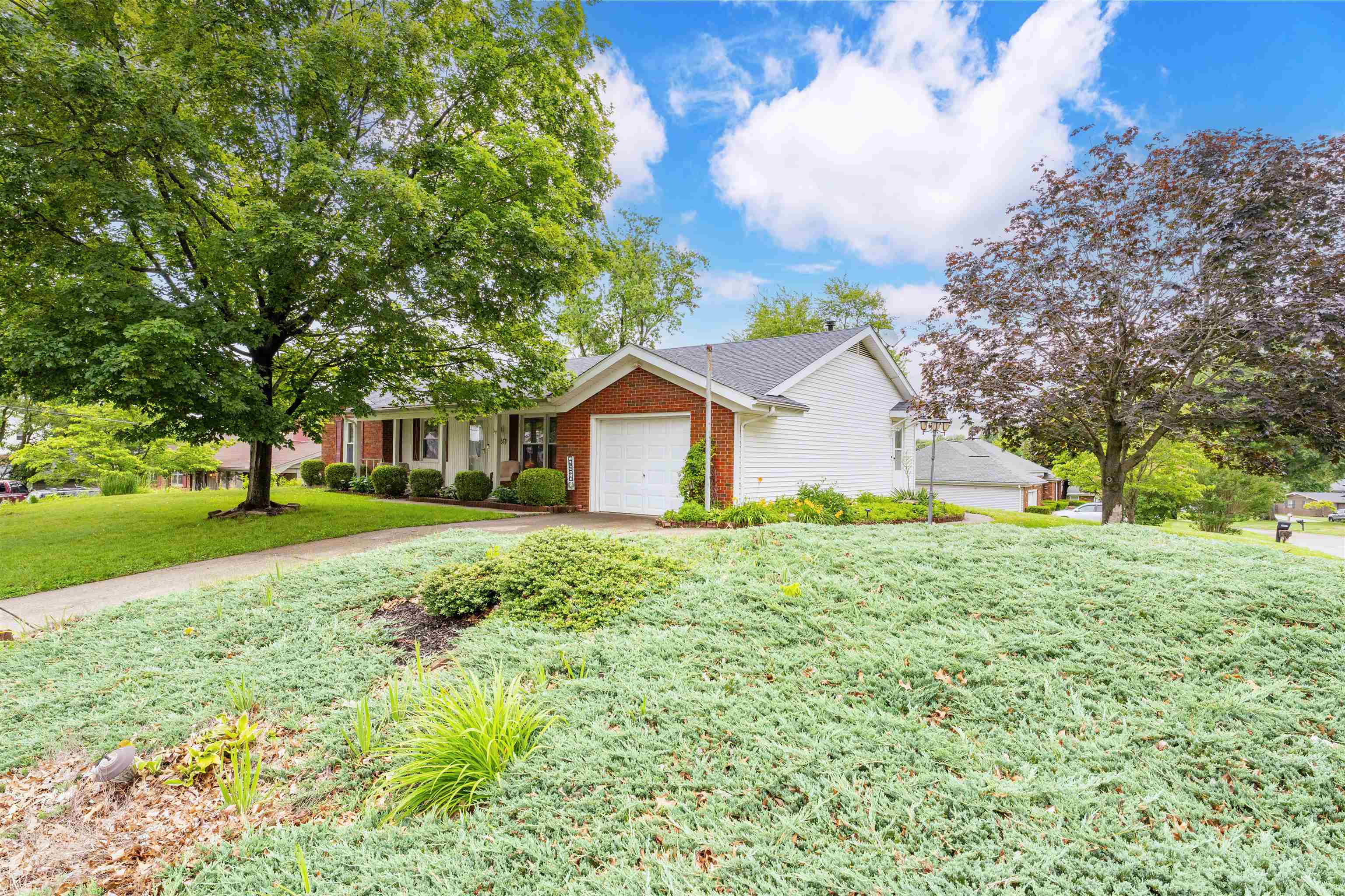 1005 Frontier Drive