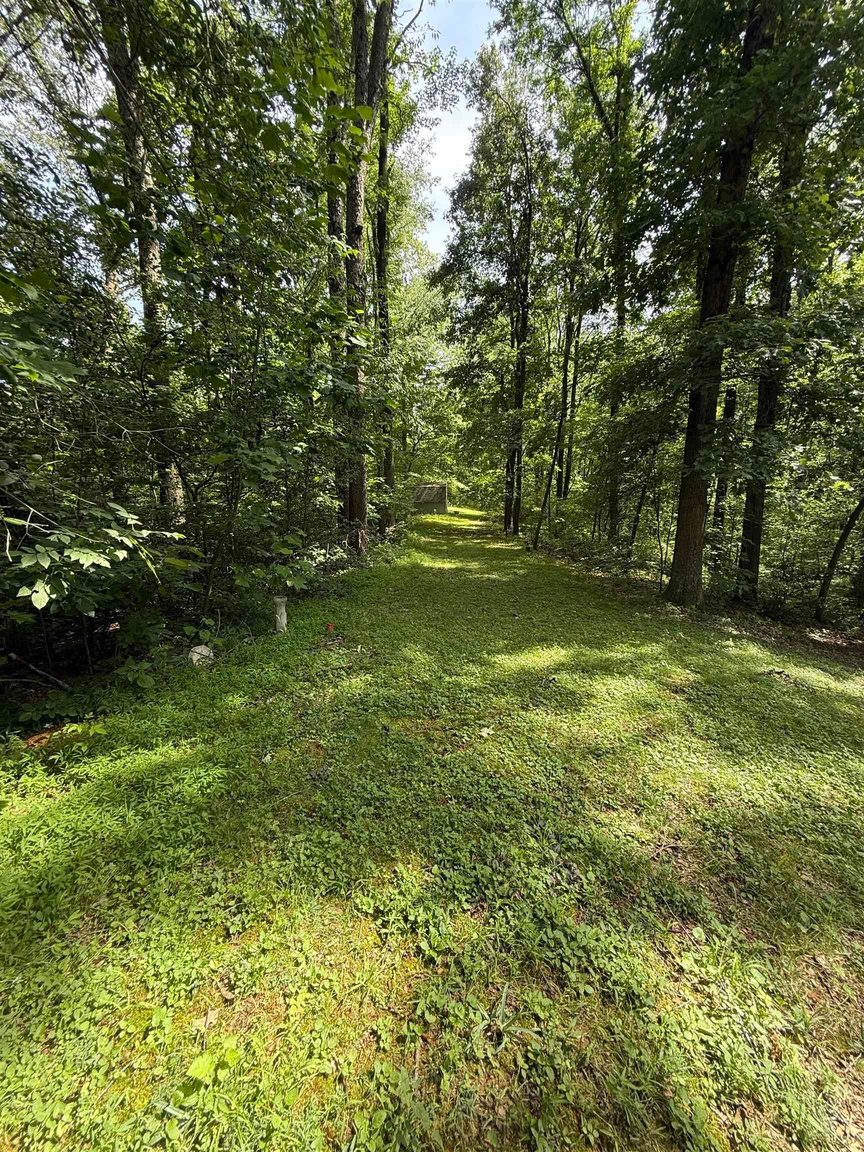 5500 Timberlane Drive
