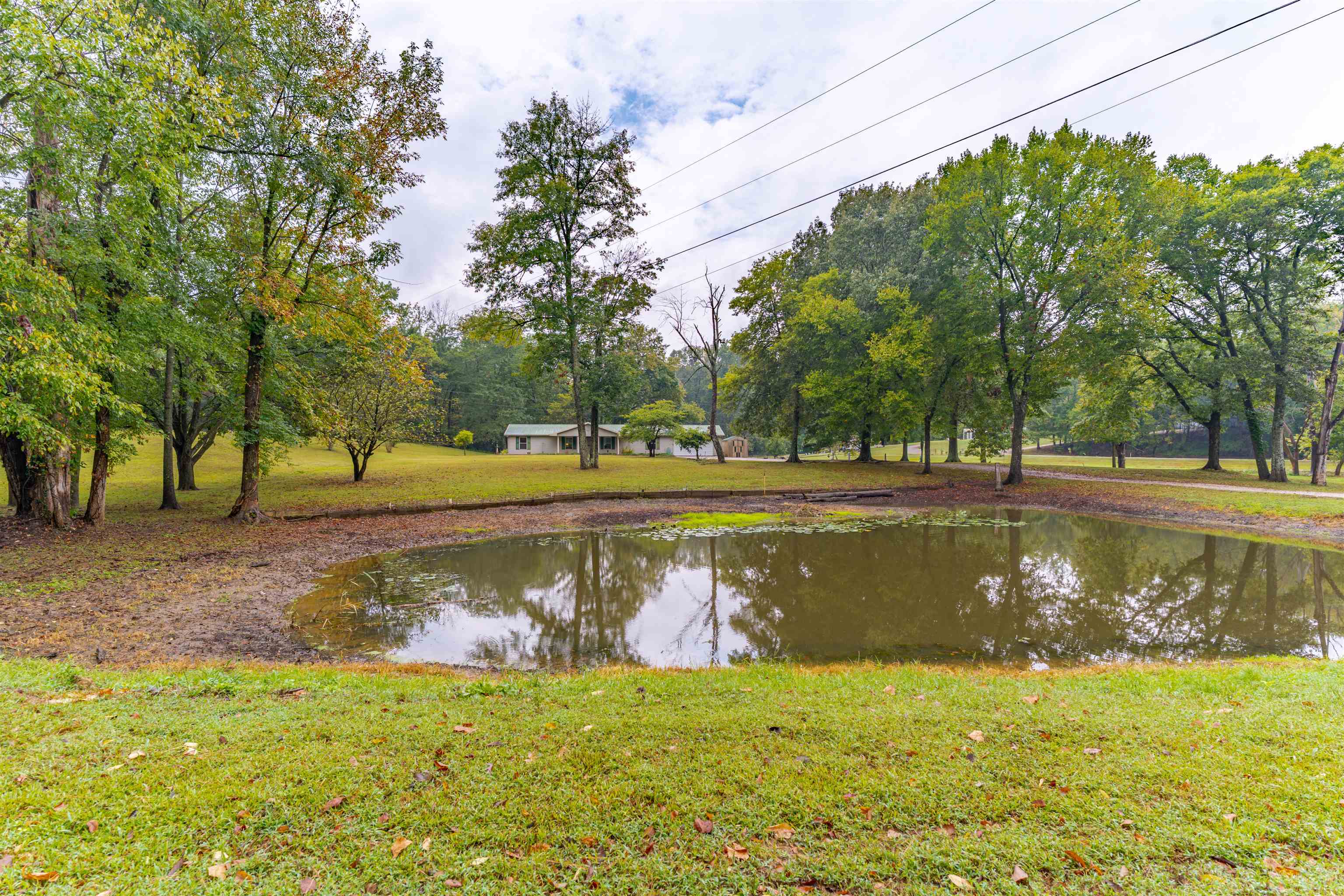 8900 Martin Martin Rd