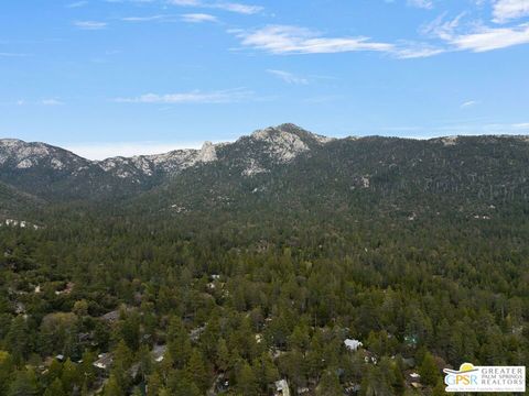 A home in Idyllwild