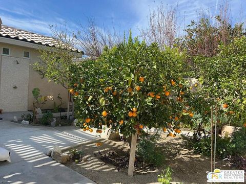 A home in Palm Springs