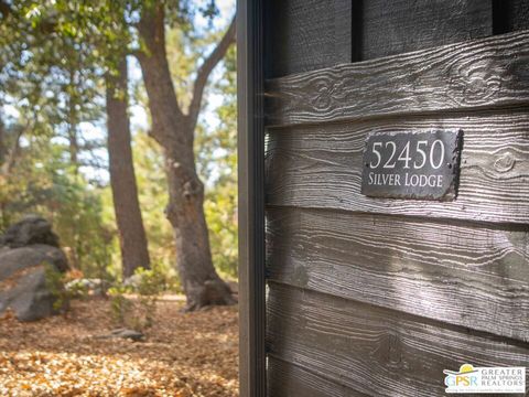 A home in Idyllwild