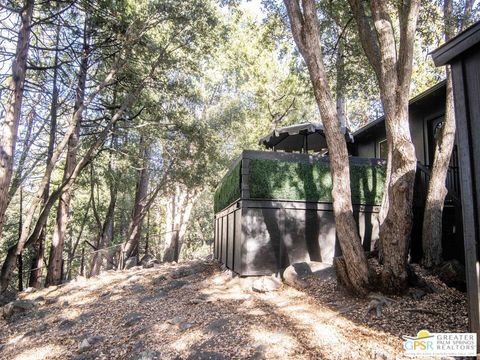 A home in Idyllwild