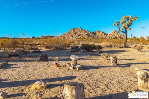 A home in Joshua Tree