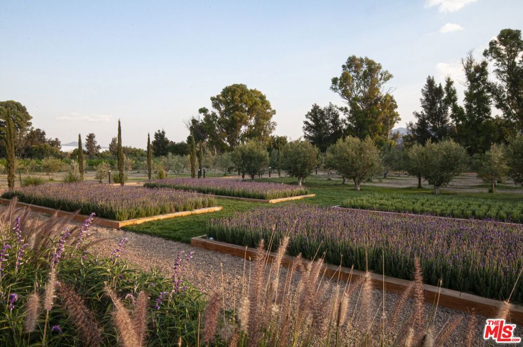 37700, Mexico, 7 Bedrooms Bedrooms, ,9 BathroomsBathrooms,Residential,Active,52273