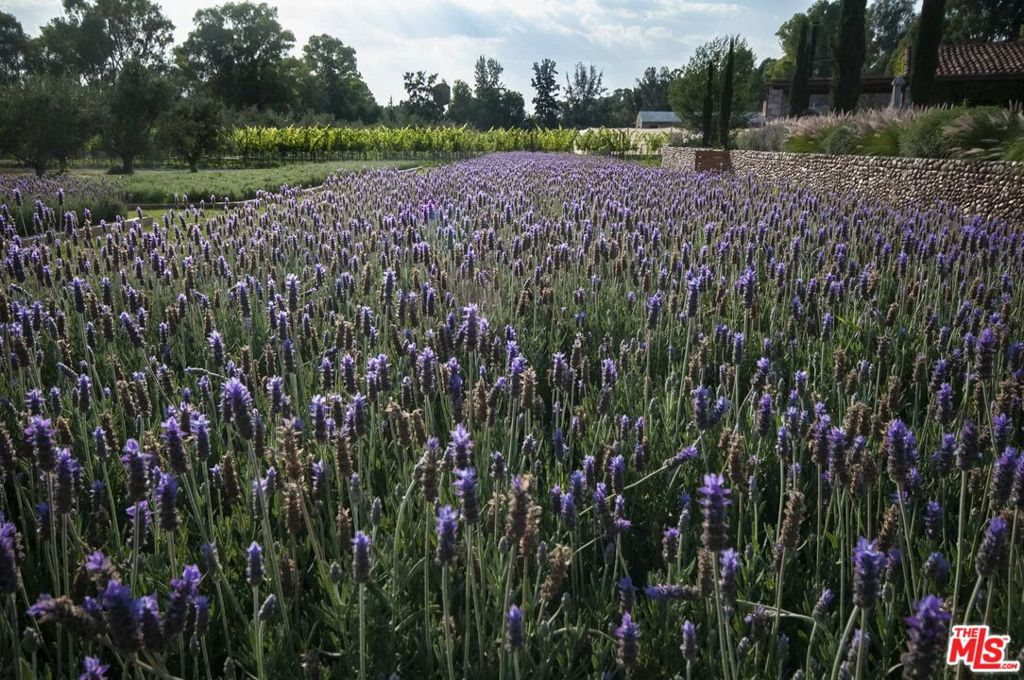 37700, Mexico, 7 Bedrooms Bedrooms, ,9 BathroomsBathrooms,Residential,Active,52273