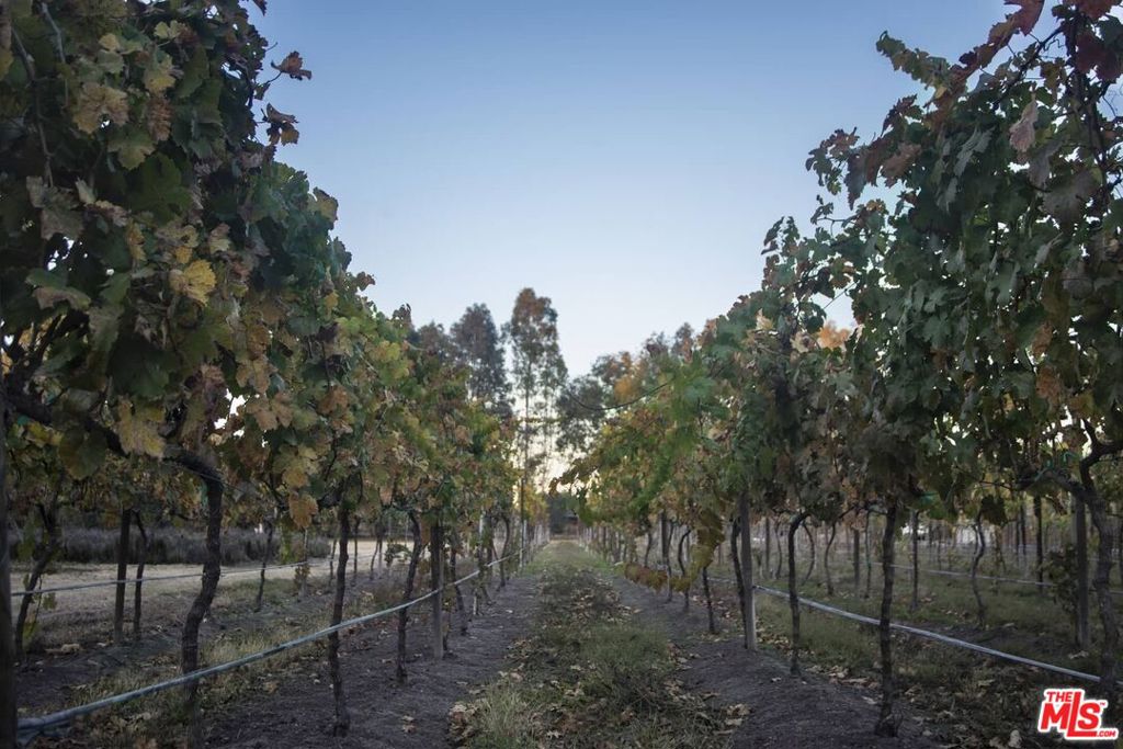 37700, Mexico, 7 Bedrooms Bedrooms, ,9 BathroomsBathrooms,Residential,Active,52273