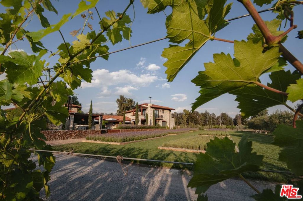 37700, Mexico, 7 Bedrooms Bedrooms, ,9 BathroomsBathrooms,Residential,Active,52273