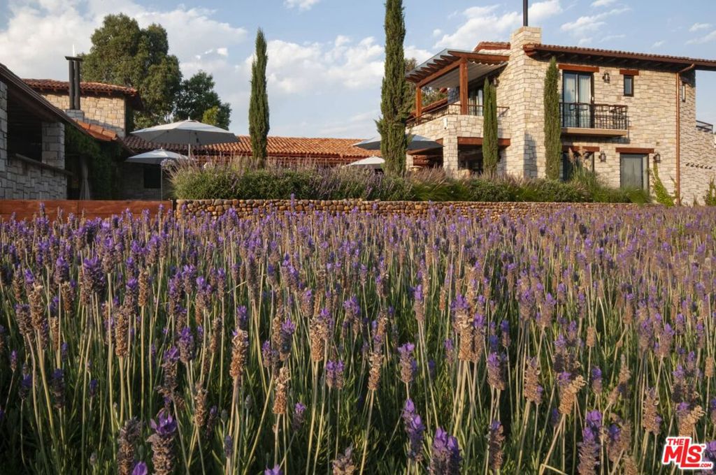 37700, Mexico, 7 Bedrooms Bedrooms, ,9 BathroomsBathrooms,Residential,Active,52273