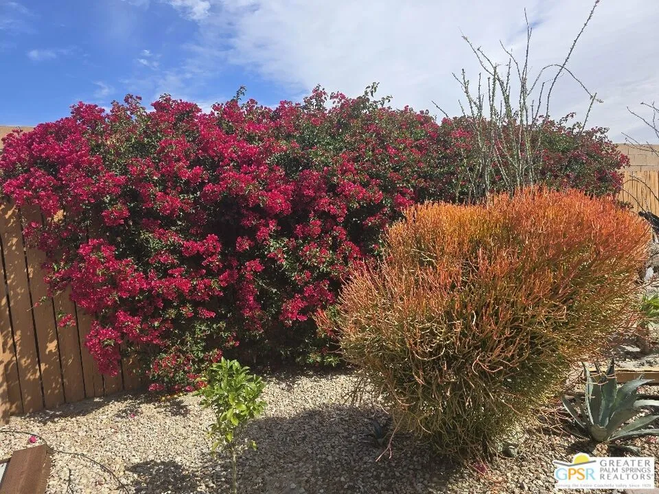 Cathedral City, California 92234, United States, 2 Bedrooms Bedrooms, ,2 BathroomsBathrooms,Residential,Active,91915