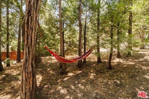 A home in Idyllwild