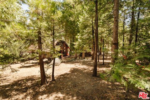 A home in Idyllwild