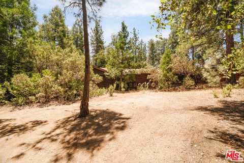 A home in Idyllwild