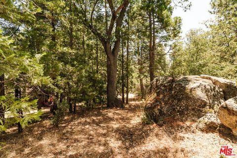 A home in Idyllwild