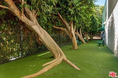 A home in West Hollywood