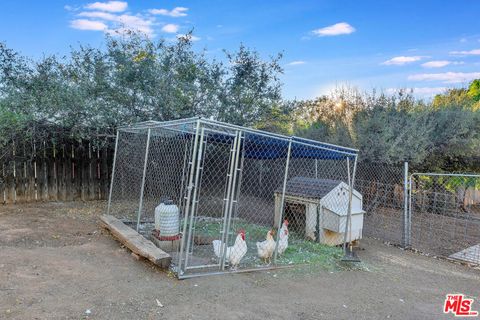 A home in Agua Dulce