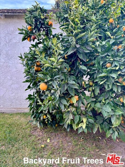 A home in Culver City