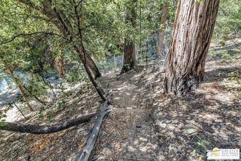 A home in Idyllwild