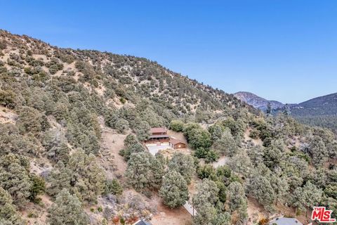 A home in Wrightwood