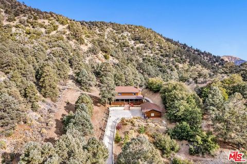 A home in Wrightwood