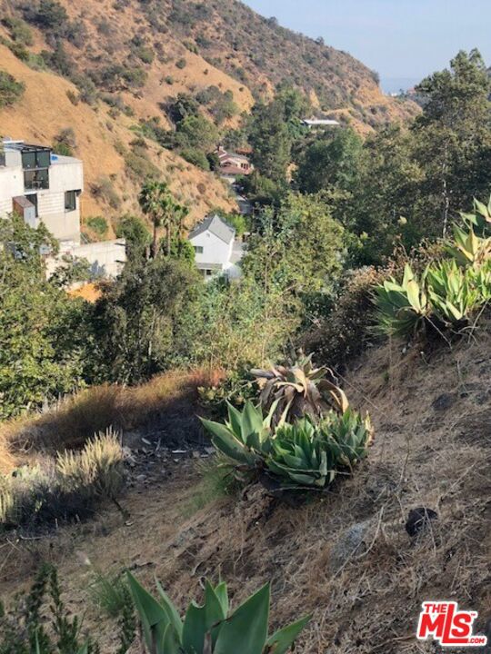 2301 Nichols Canyon