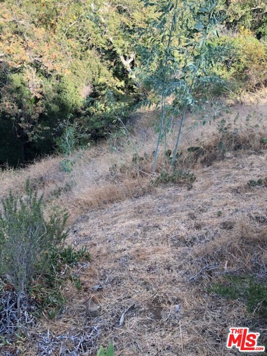 2301 Nichols Canyon