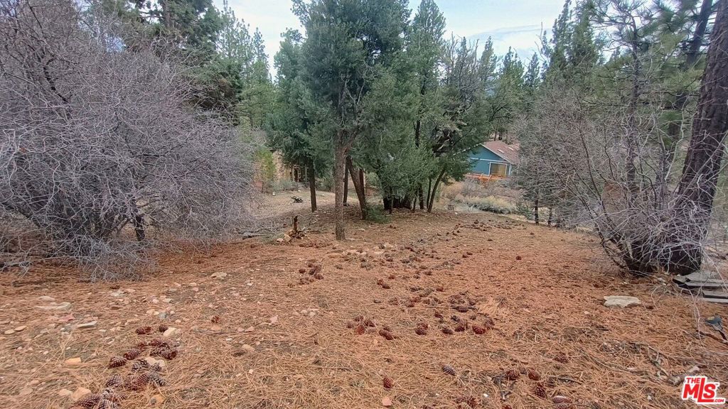 384 Cinderella Drive