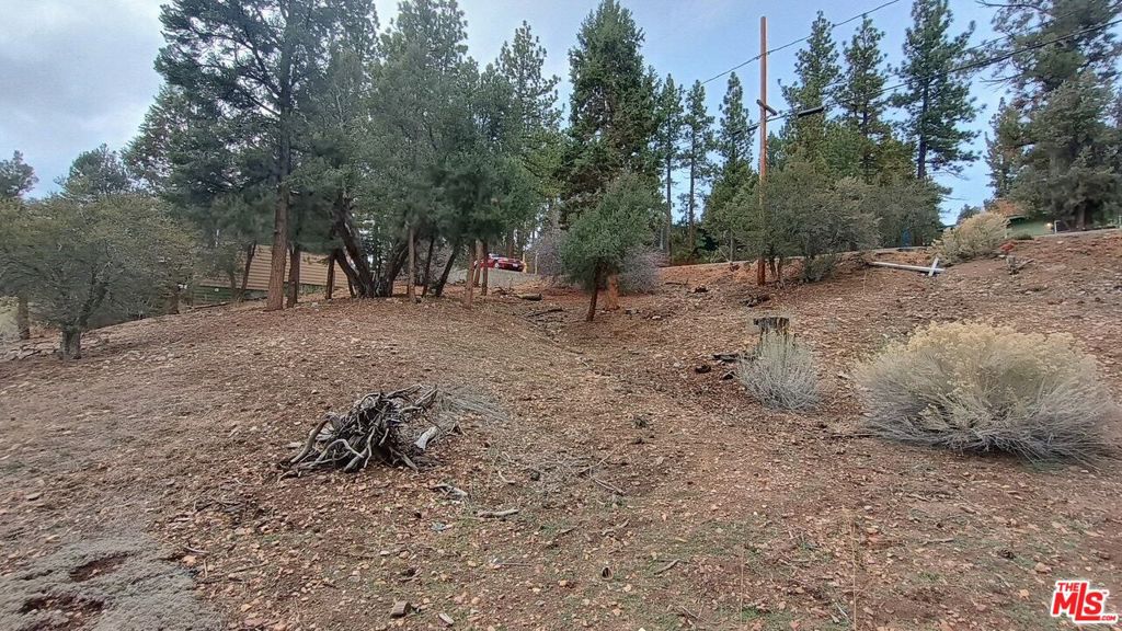 384 Cinderella Drive