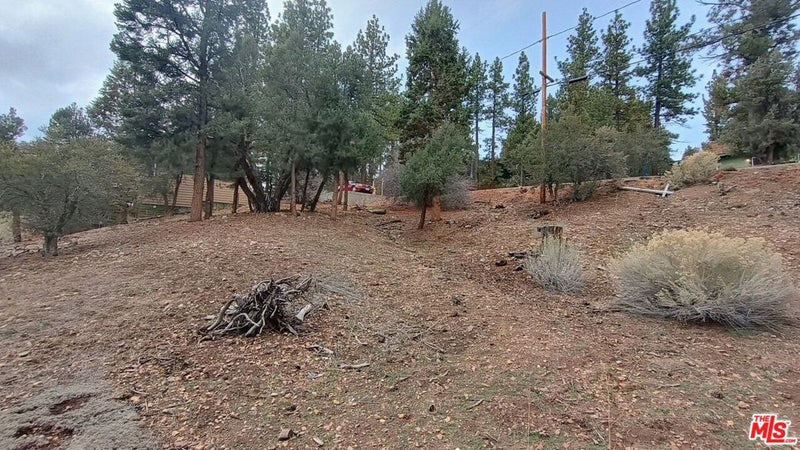 384 Cinderella Drive