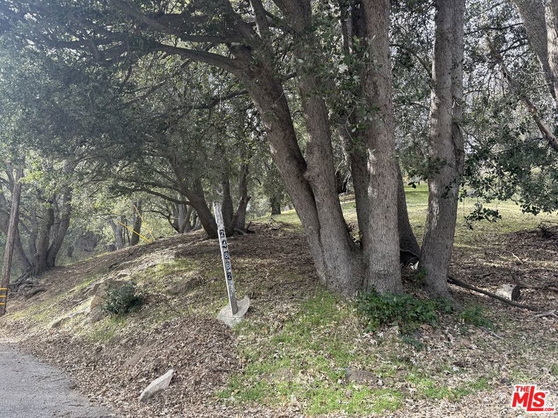 24862 Edelweiss Drive