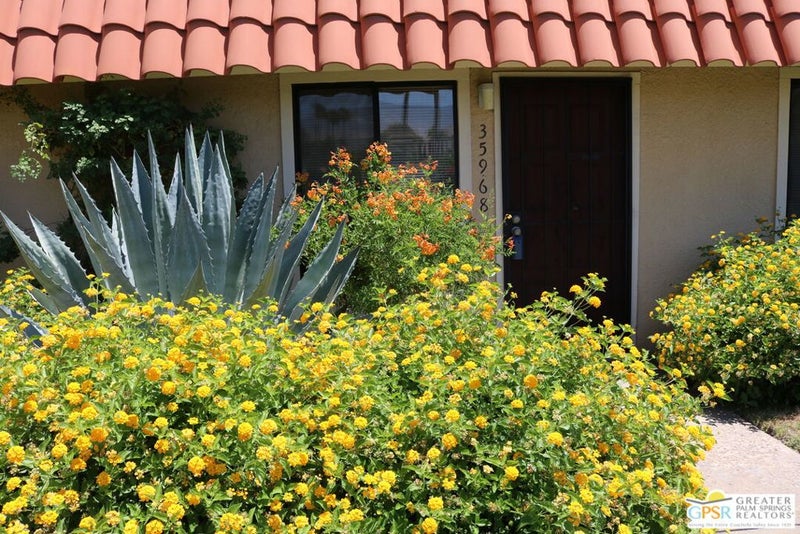 35968 Lindera Court