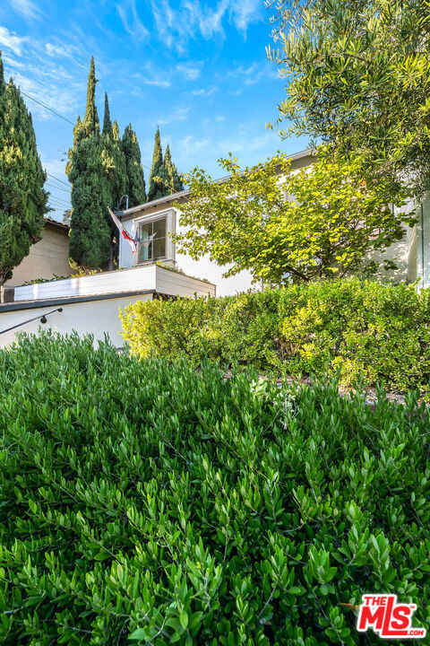 2446 Cheremoya Avenue