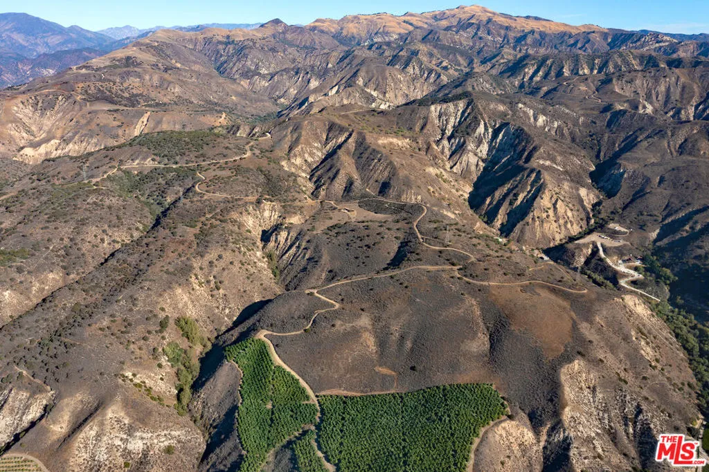 Fillmore, California 93015, United States, ,Land,Active,193638