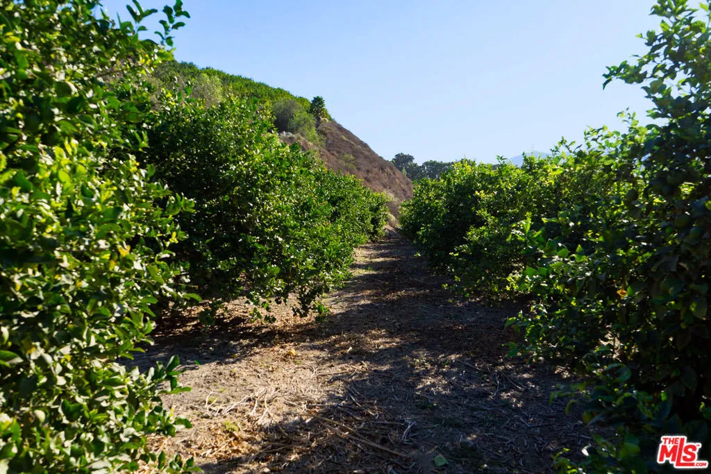 Fillmore, California 93015, United States, ,Land,Active,193638