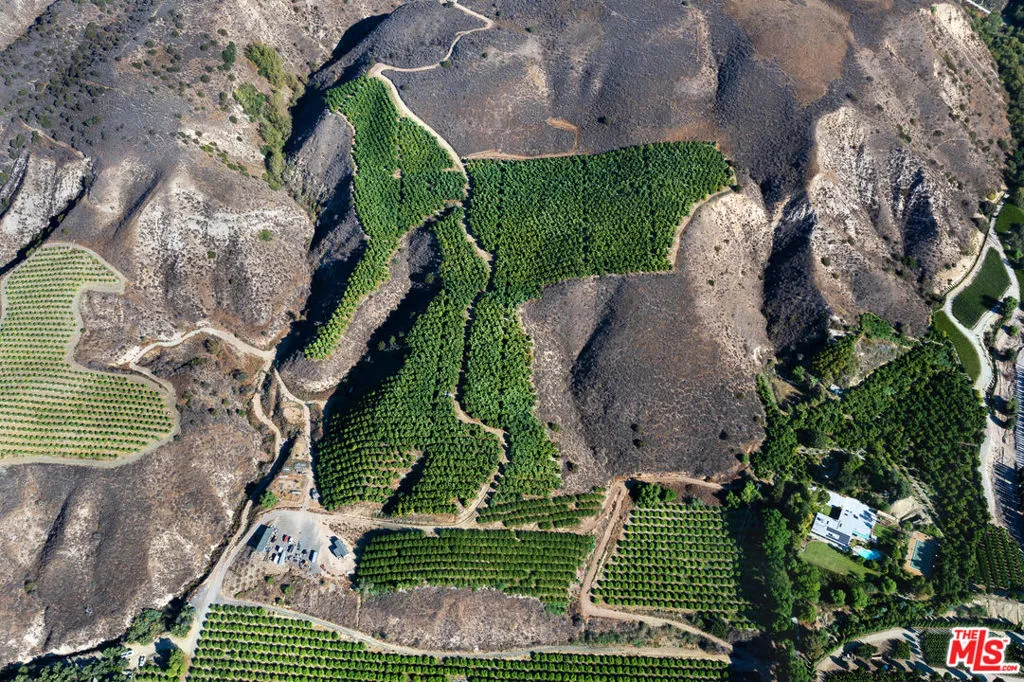 Fillmore, California 93015, United States, ,Land,Active,193638