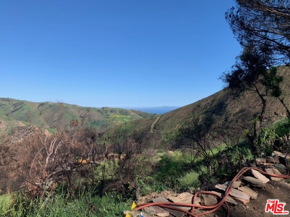 1990 Las Flores Canyon Road
