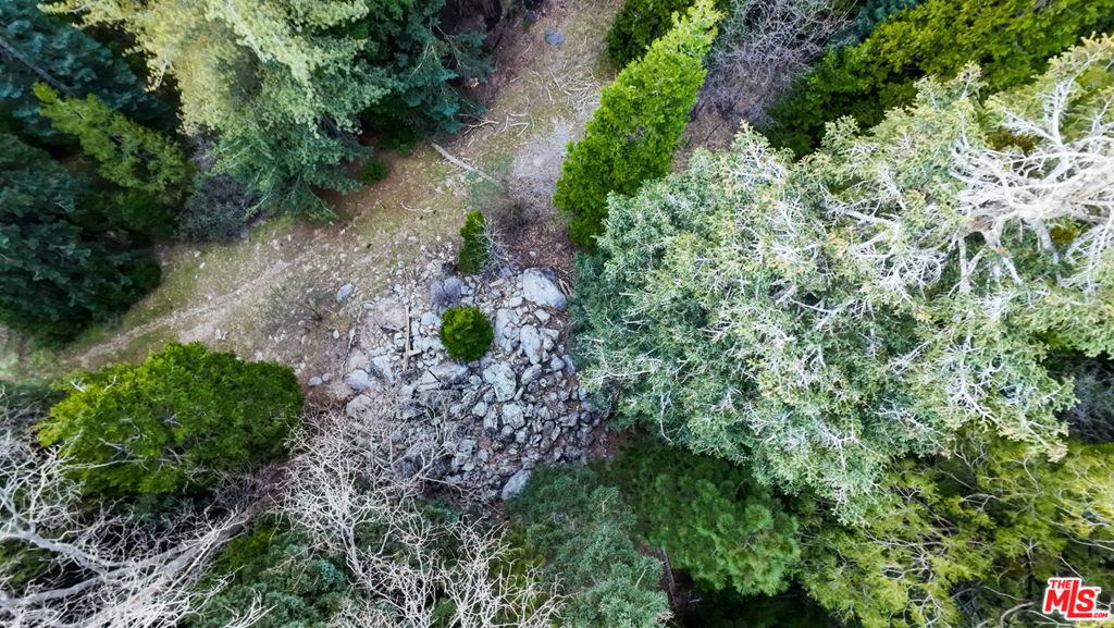 246 Cedar Ridge Drive