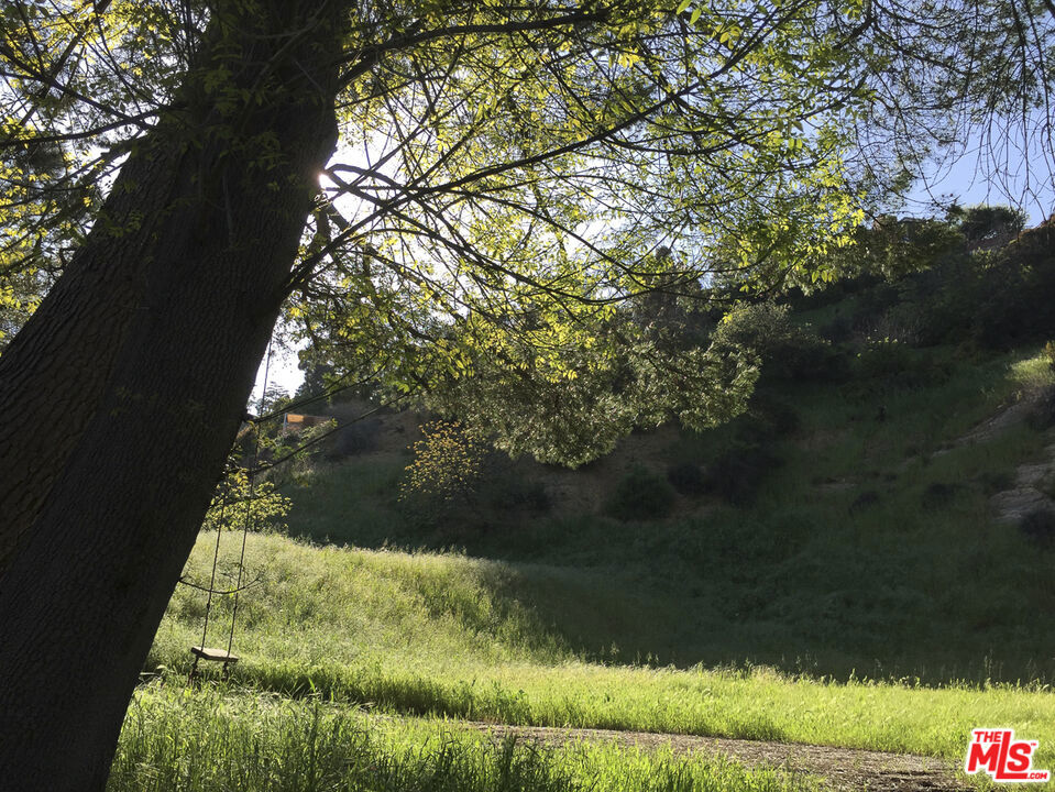 8813 Wonderland Avenue