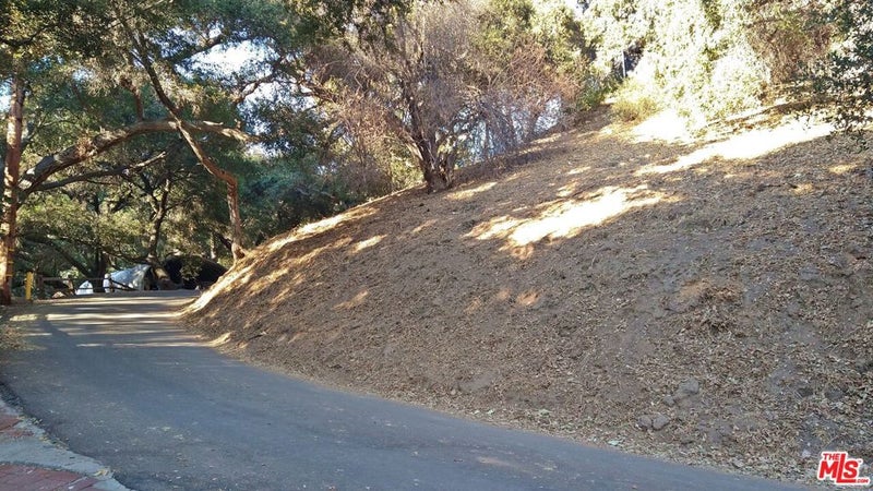 12300 SPRING Trail