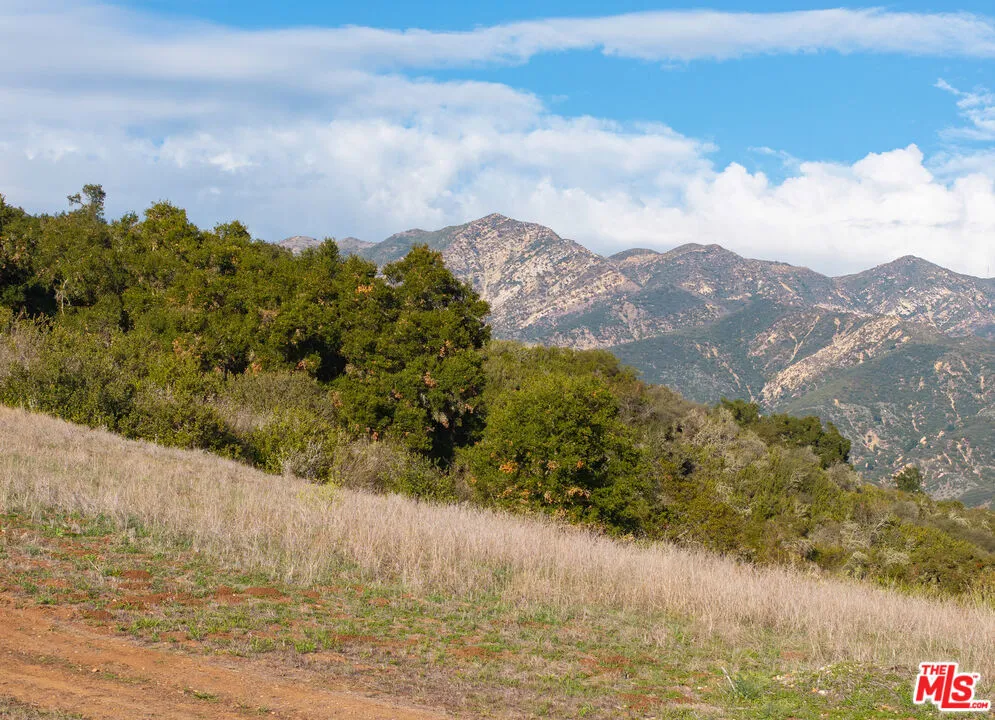 Carpinteria, California 93013, United States, ,Land,Active,246971