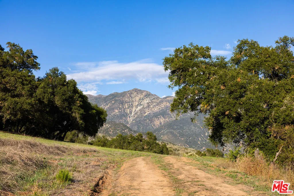 Carpinteria, California 93013, United States, ,Land,Active,246971