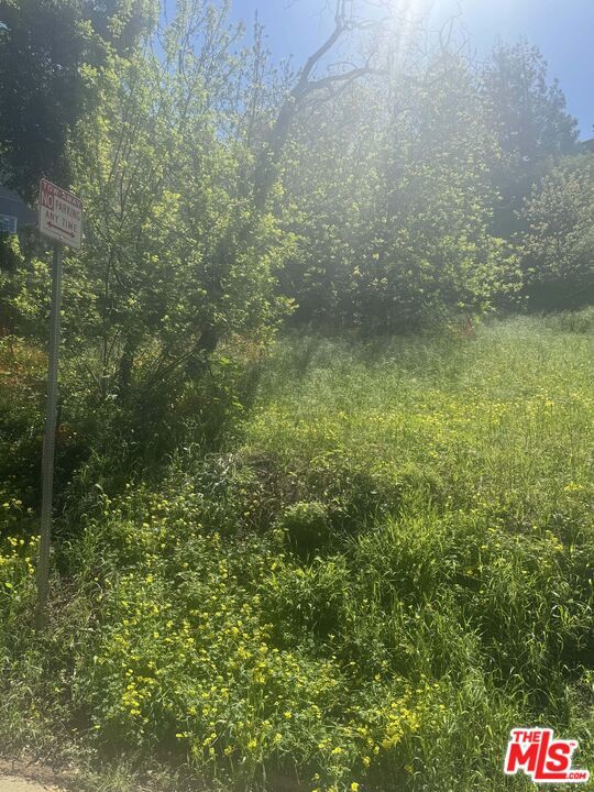 0 Groveland Drive