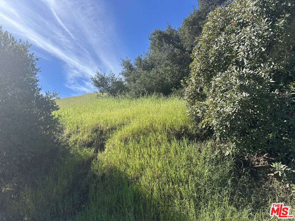 3010 Foothill