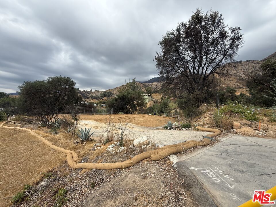 243 Taos Road